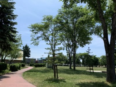 公園