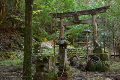 鬼滅の刃の聖地は長野県に２カ所！炭次郎の神社と、ねずこのご神木！