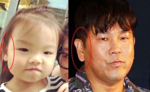 フジモンと娘が似てない説がガセな理由