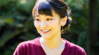 複雑性PTSDでビザが取得できる眞子さま